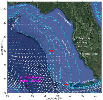 Local And Deep-Ocean Forcing Effects on the West Florida Continental Shelf Circulation and Ecology